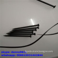 High Quality Black Color Concrete Nails Stainless Steel,galvanized Cement Nails----------lgd301